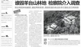 深圳最近爆料案件最新,最新案件细节揭露惊人真相